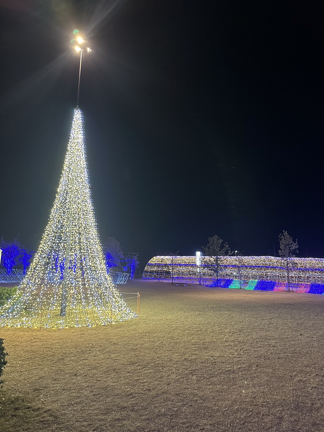 イルミネーション ｜ lovehair（ラブヘアー）｜前橋・高崎・太田